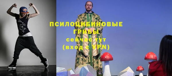 сатива Алексин