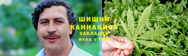 сатива Алексин