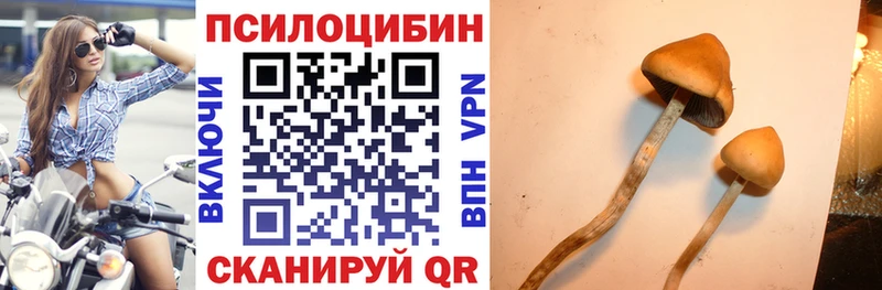 Галлюциногенные грибы Psilocybine cubensis  Чишмы 